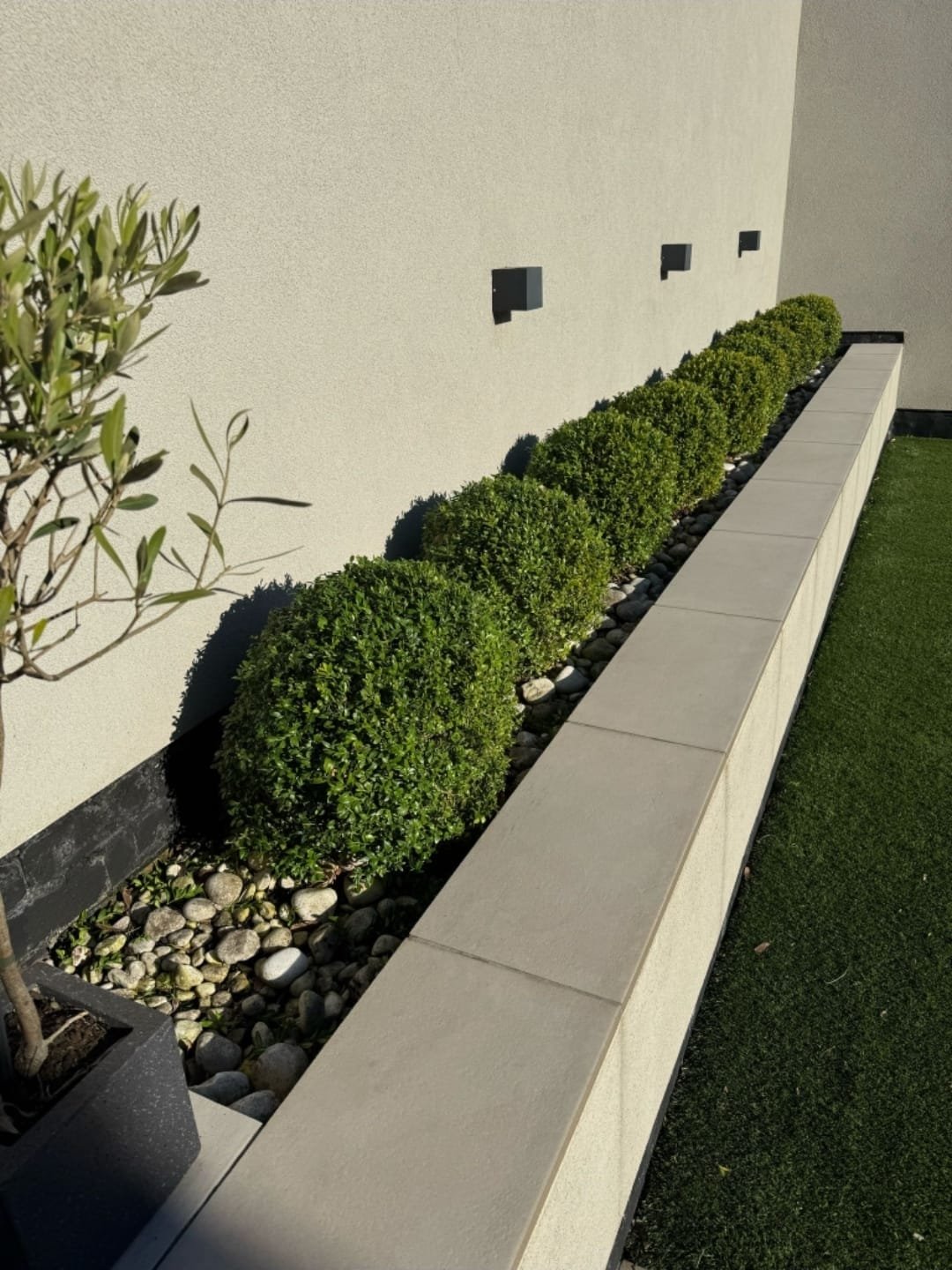 WhatsApp Image 2025-11-29 at 14.13.55.jpeg