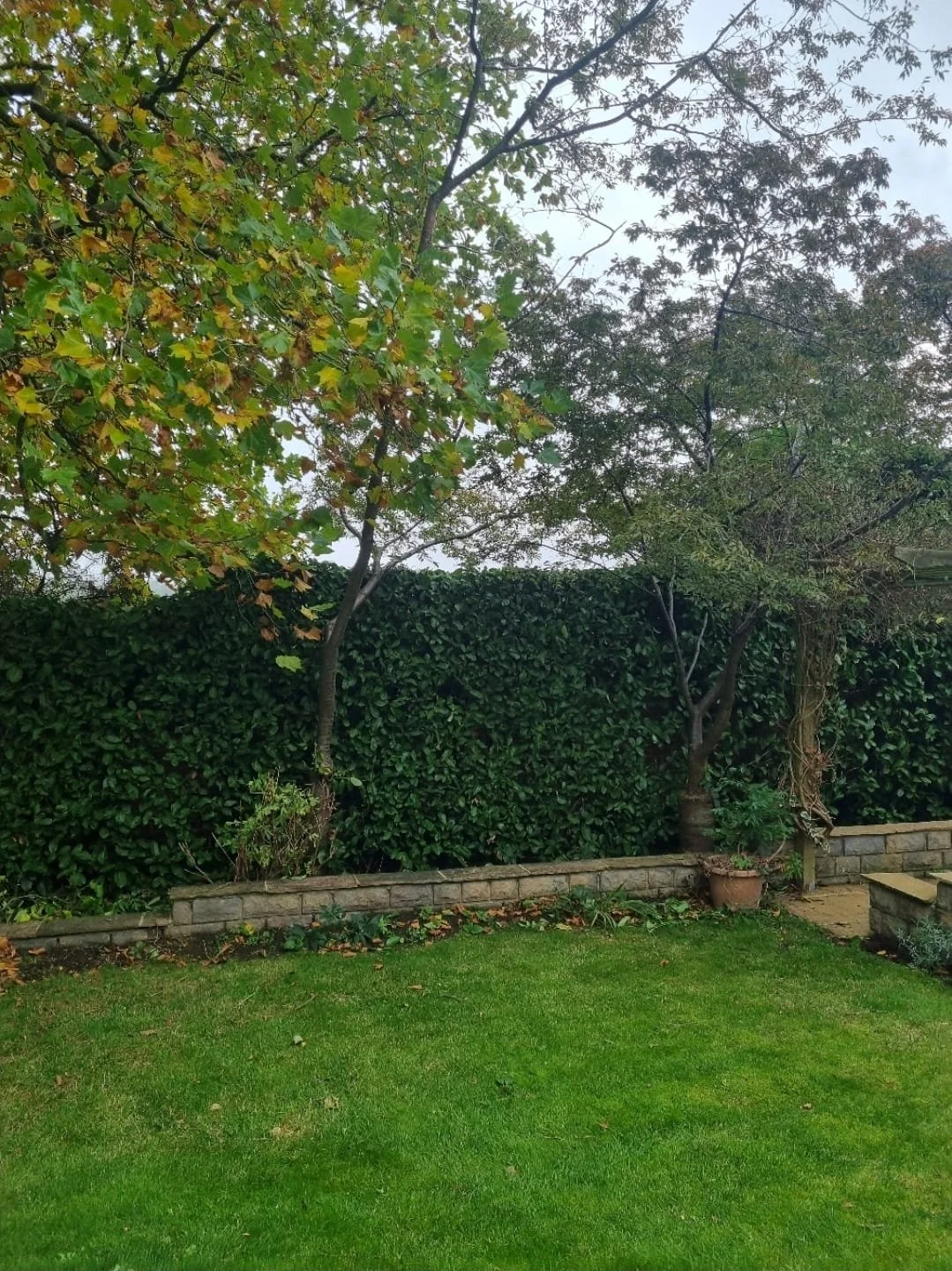 WhatsApp Image 2025-11-29 at 14.15.27 (7).jpeg