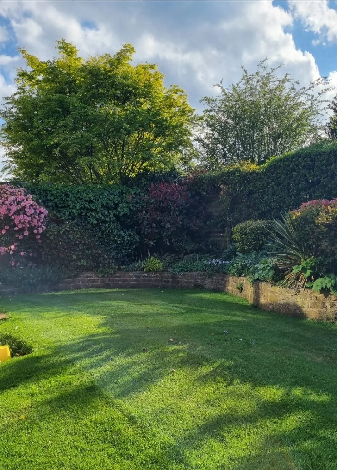 WhatsApp Image 2025-11-29 at 14.15.11.jpeg