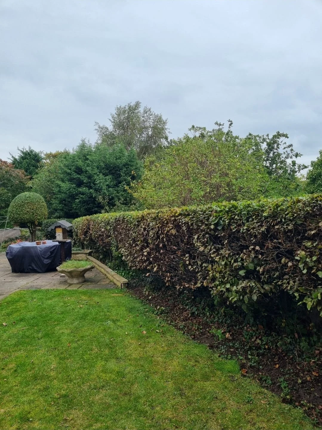 WhatsApp Image 2025-11-29 at 14.15.26 (6).jpeg