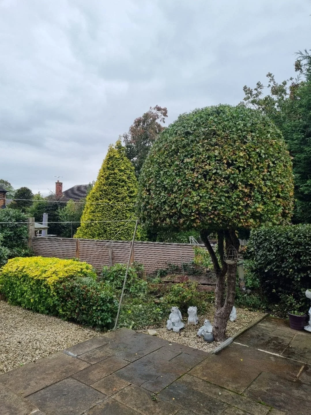 WhatsApp Image 2025-11-29 at 14.15.26 (8).jpeg