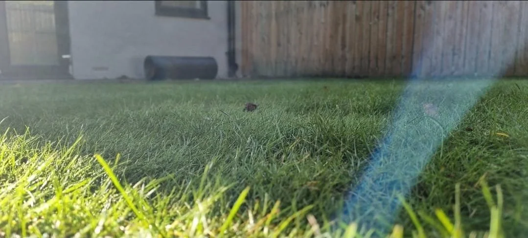 WhatsApp Image 2025-11-29 at 14.15.10 (4).jpeg