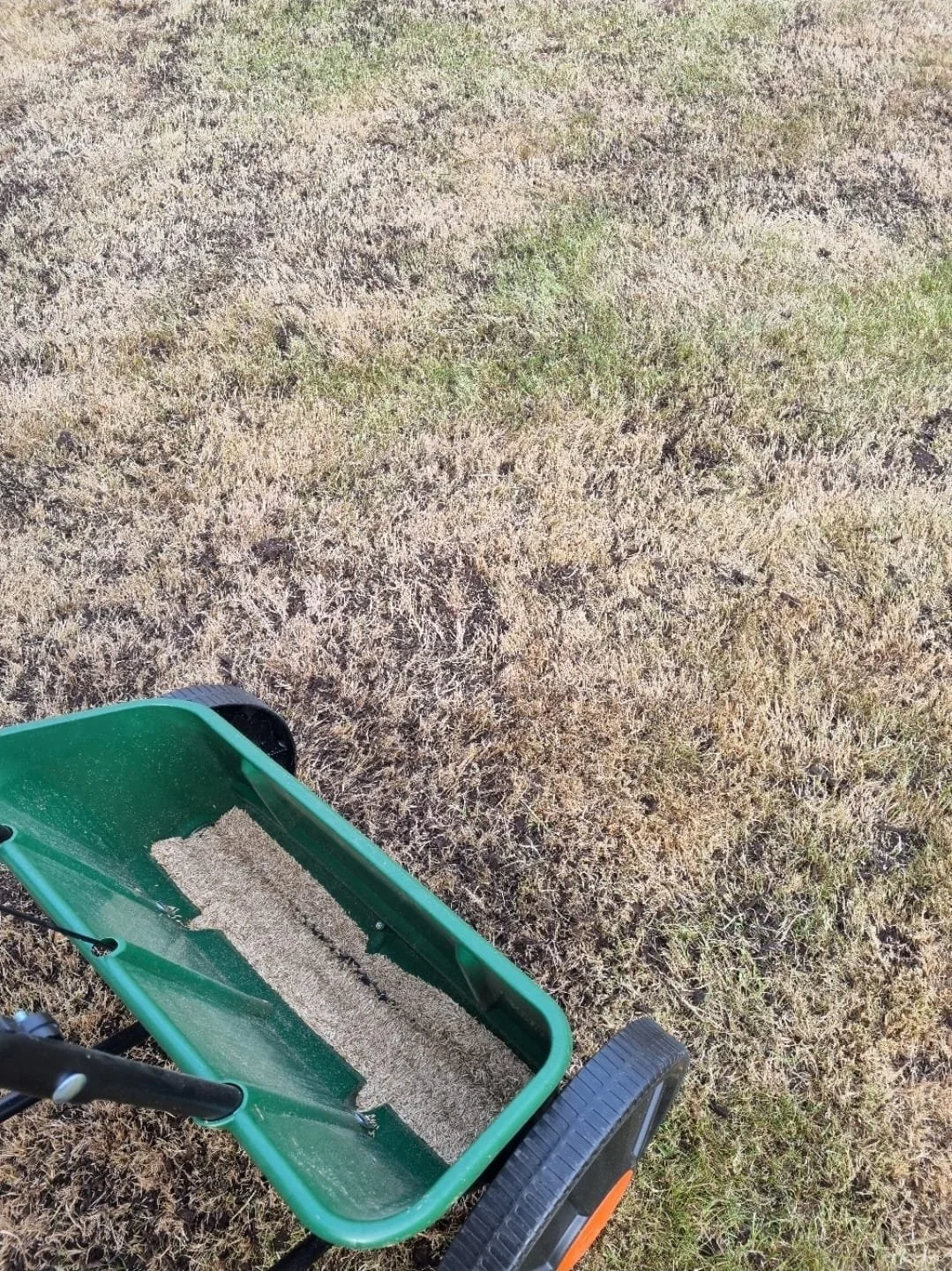 WhatsApp Image 2025-11-29 at 14.15.24 (4).jpeg