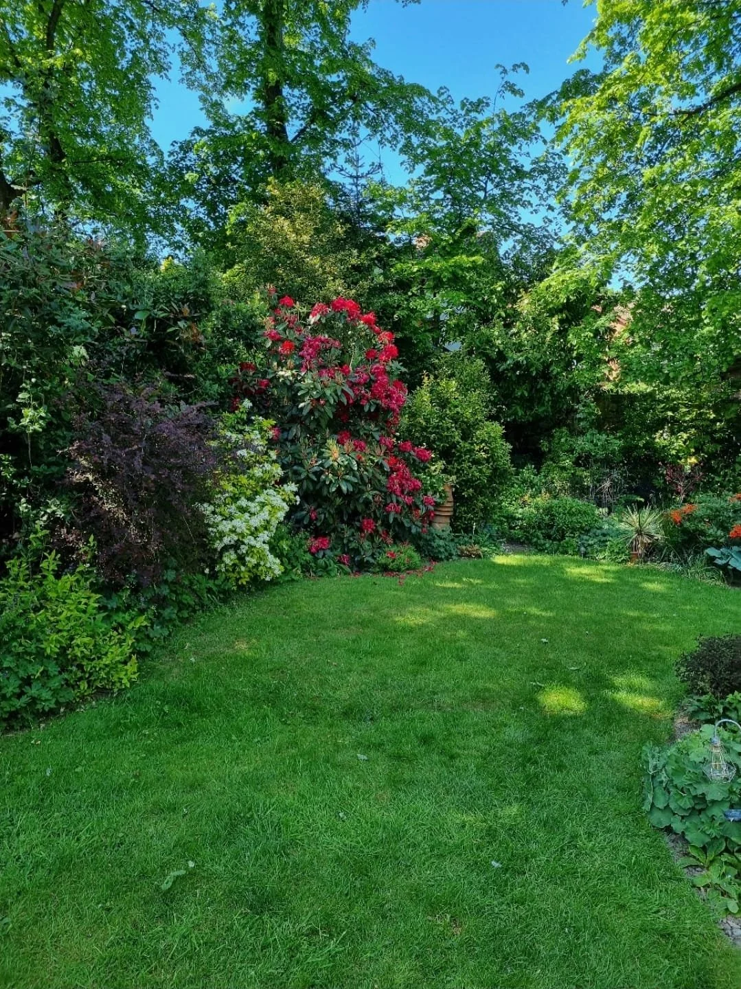 WhatsApp Image 2025-11-29 at 14.15.24 (1).jpeg