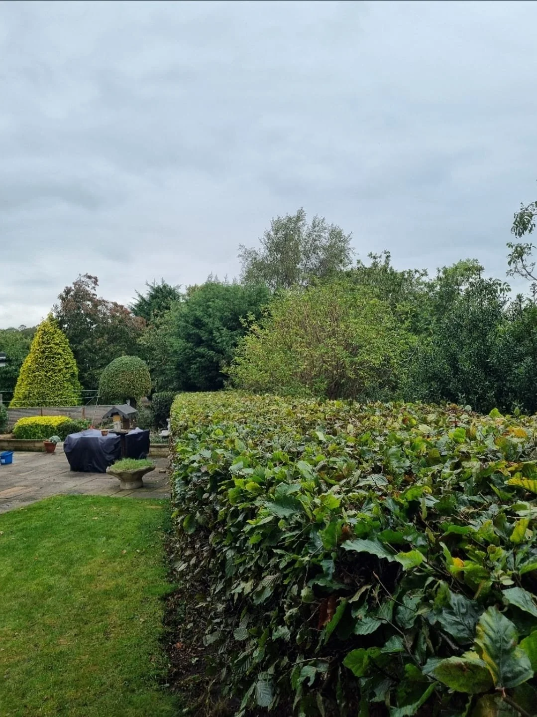 WhatsApp Image 2025-11-29 at 14.15.26 (7).jpeg