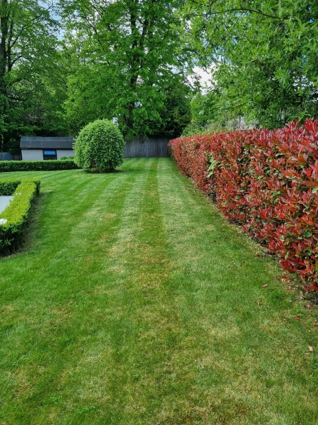 WhatsApp Image 2025-11-29 at 14.15.12 (1).jpeg