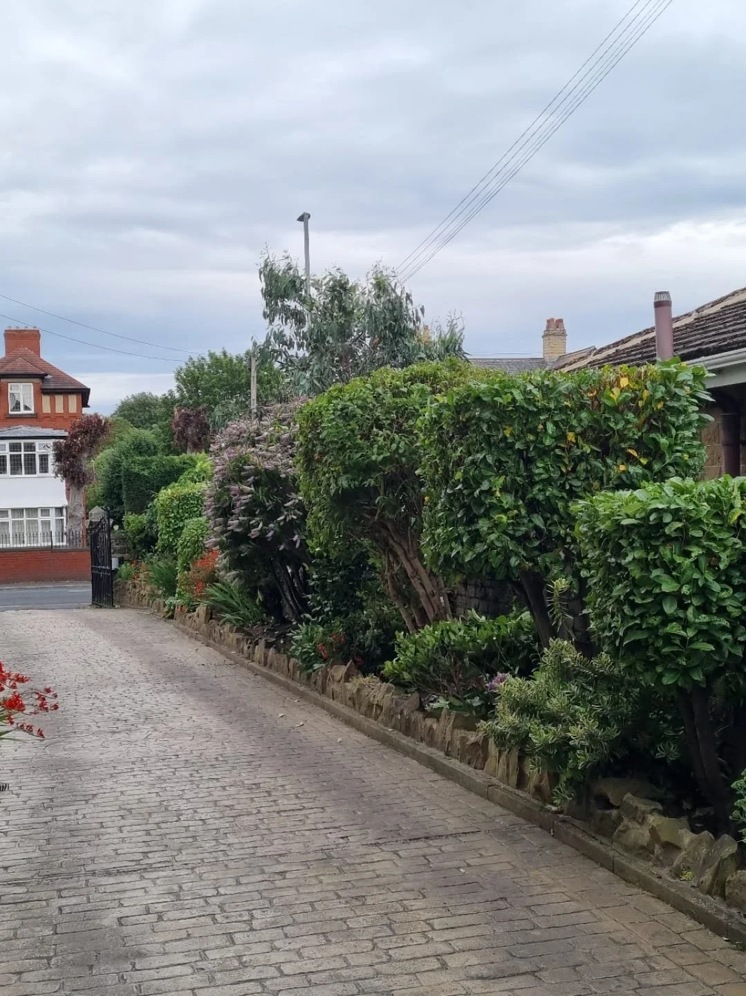 WhatsApp Image 2025-11-29 at 14.15.24 (8).jpeg