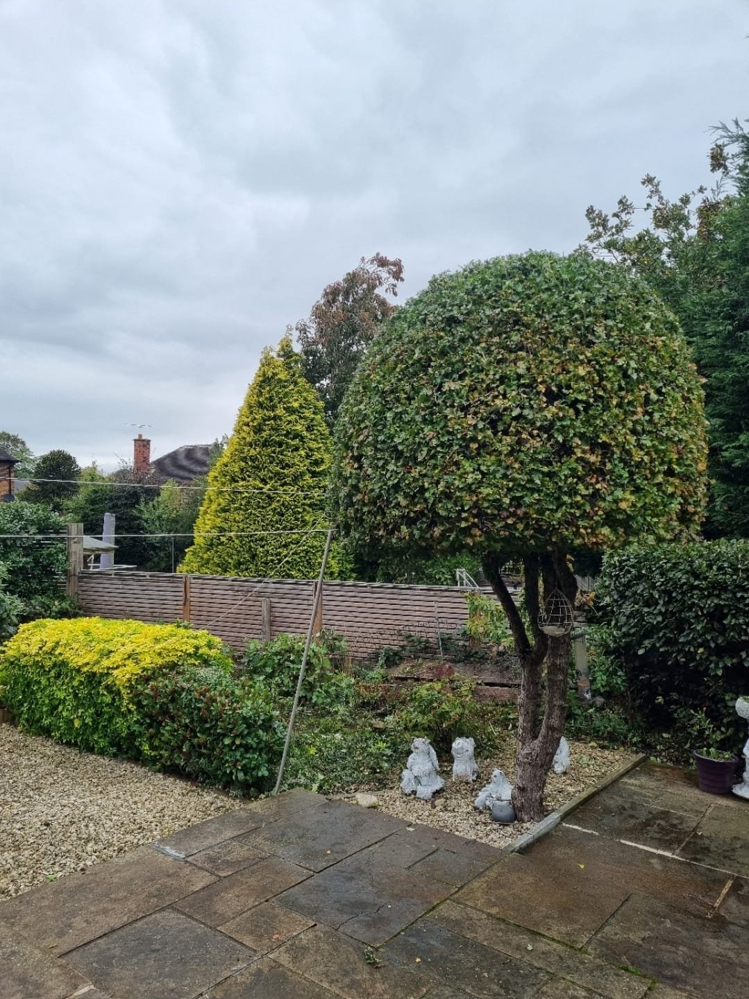 WhatsApp Image 2025-11-29 at 14.15.26 (8).jpeg