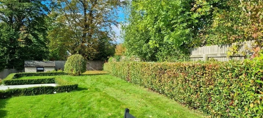 WhatsApp Image 2025-11-29 at 14.15.10 (2).jpeg