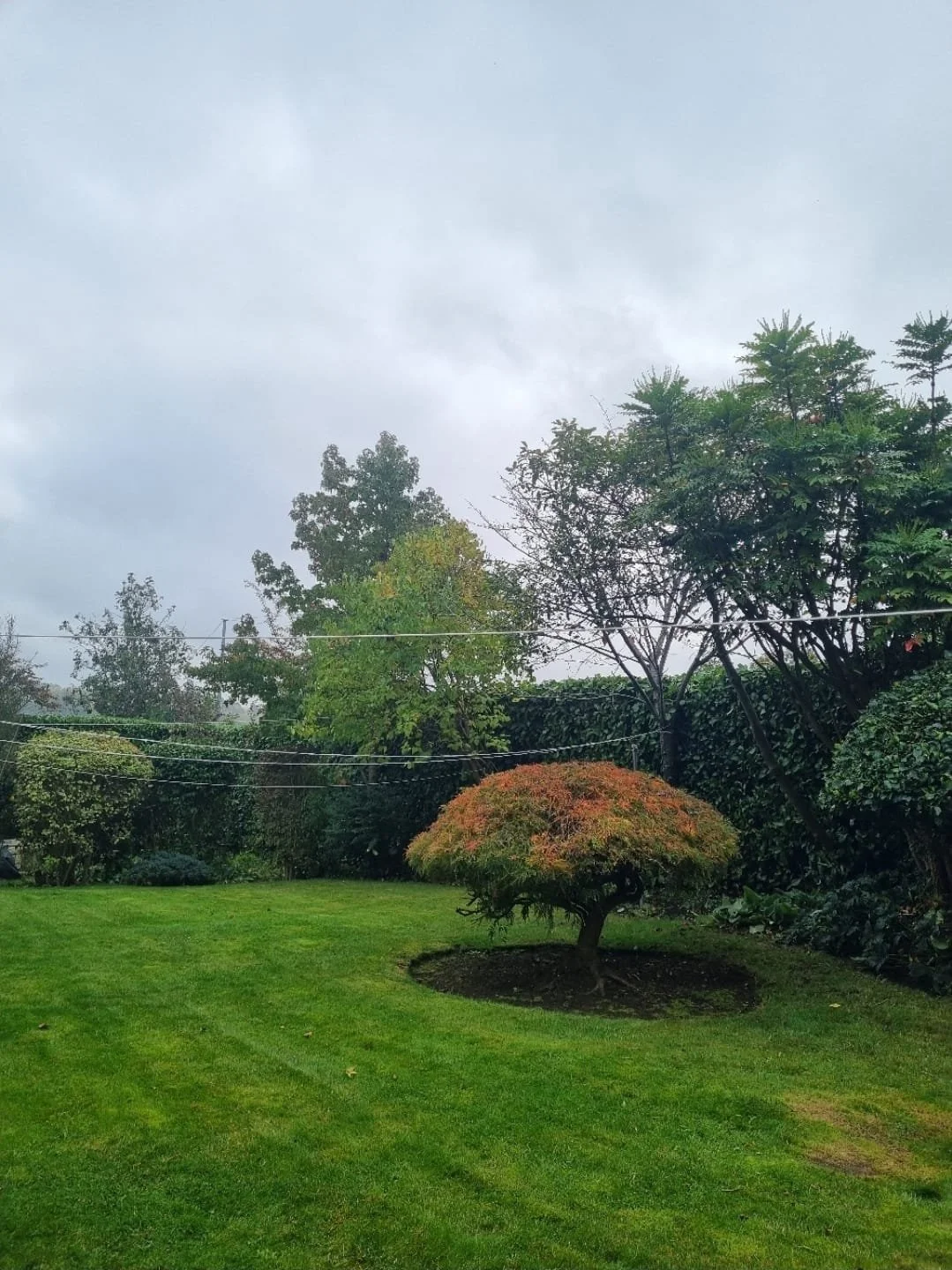 WhatsApp Image 2025-11-29 at 14.15.27 (4).jpeg