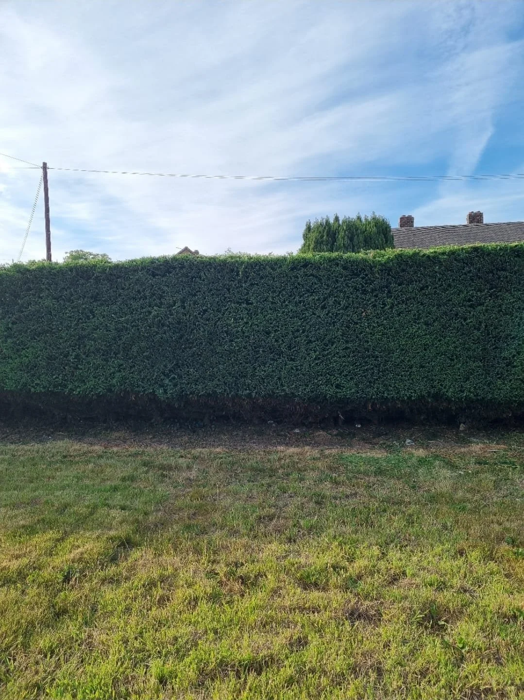 WhatsApp Image 2025-11-29 at 14.15.25 (6).jpeg