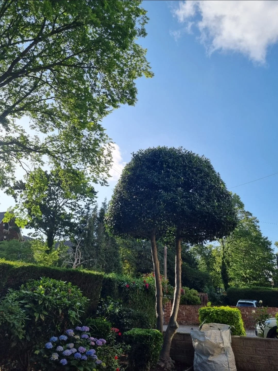 WhatsApp Image 2025-11-29 at 14.15.25 (3).jpeg