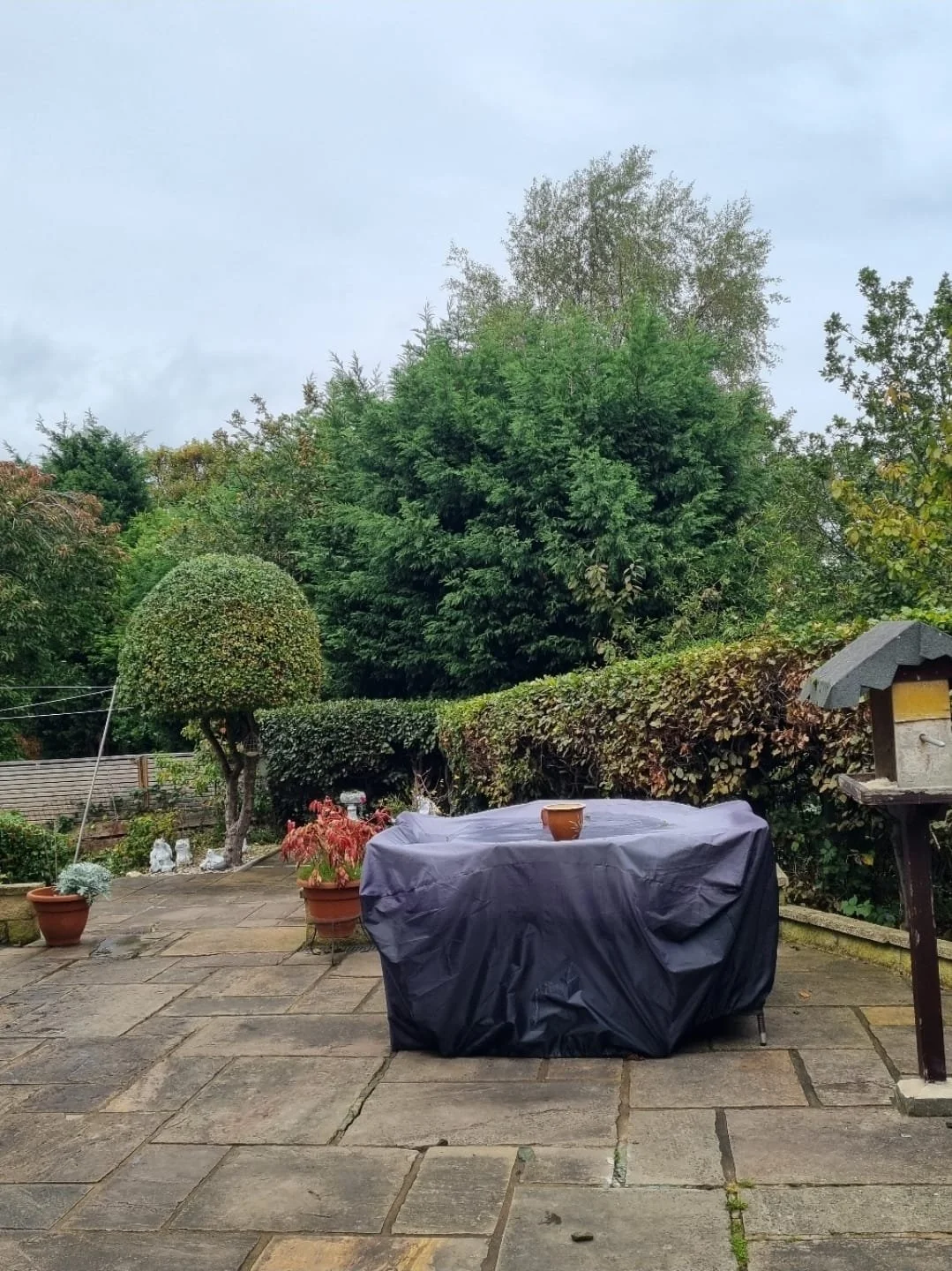 WhatsApp Image 2025-11-29 at 14.15.26 (10).jpeg