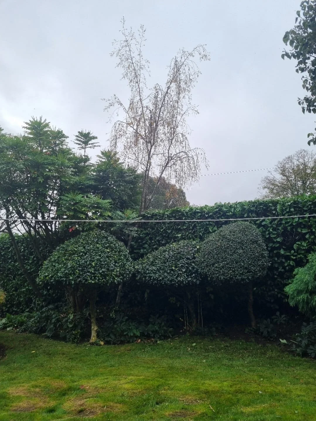 WhatsApp Image 2025-11-29 at 14.15.27 (5).jpeg