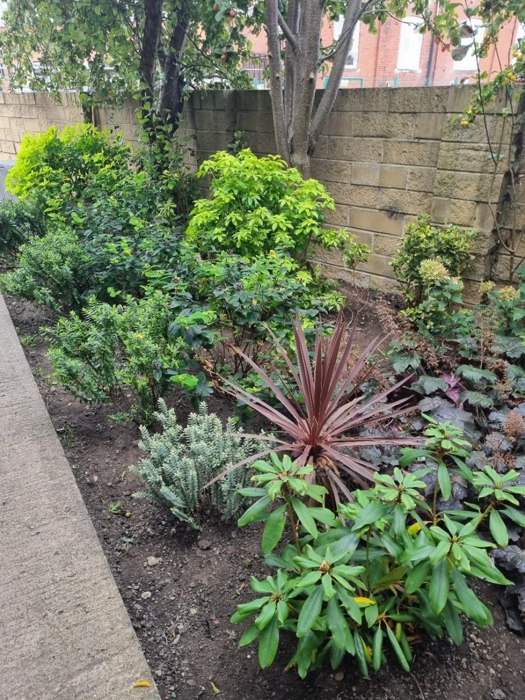 WhatsApp Image 2025-11-29 at 14.15.26 (1).jpeg