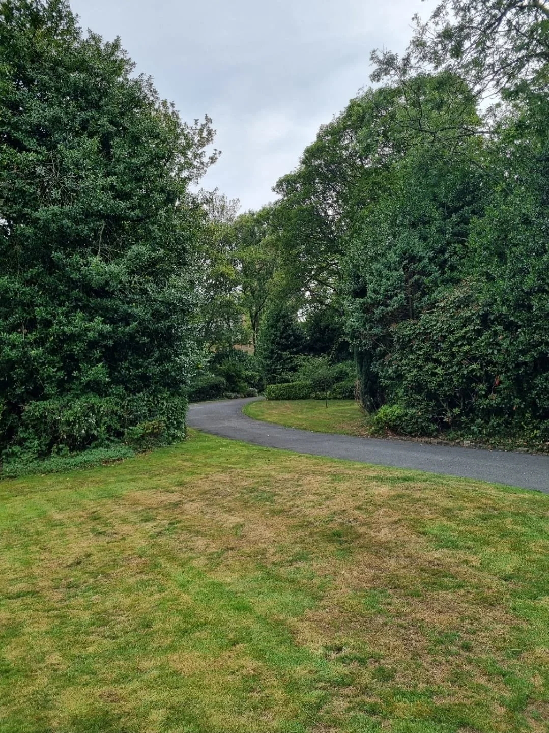 WhatsApp Image 2025-11-29 at 14.15.25 (7).jpeg