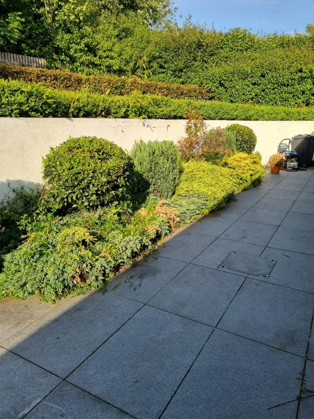 WhatsApp Image 2025-11-29 at 14.15.24 (5).jpeg