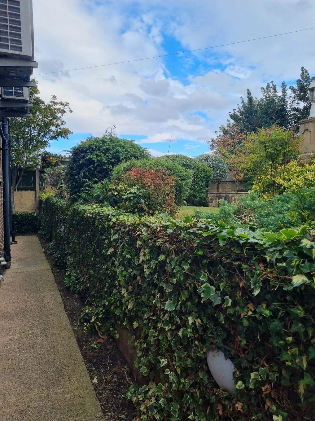 WhatsApp Image 2025-11-29 at 14.15.26.jpeg