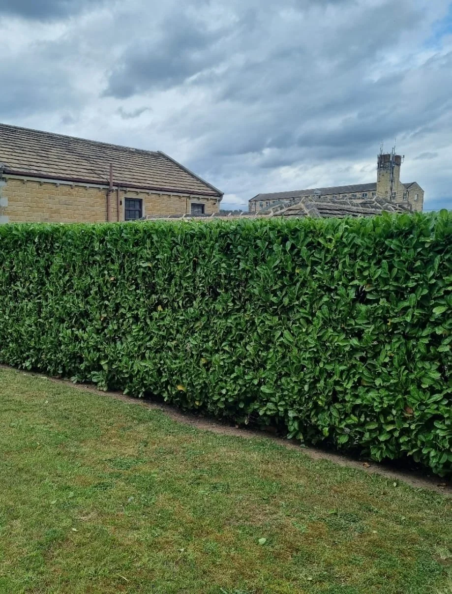 WhatsApp Image 2025-11-29 at 14.15.25 (13).jpeg