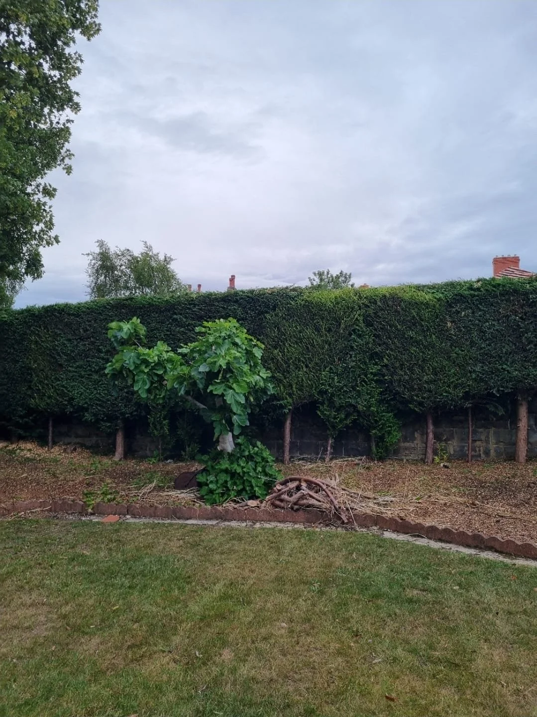 WhatsApp Image 2025-11-29 at 14.15.25.jpeg