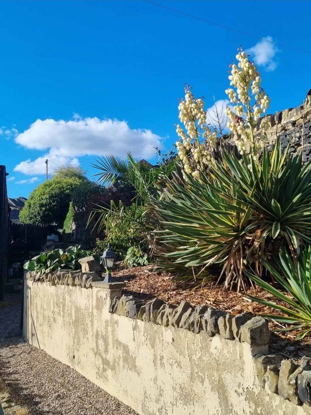 WhatsApp Image 2025-11-29 at 14.15.26 (3).jpeg