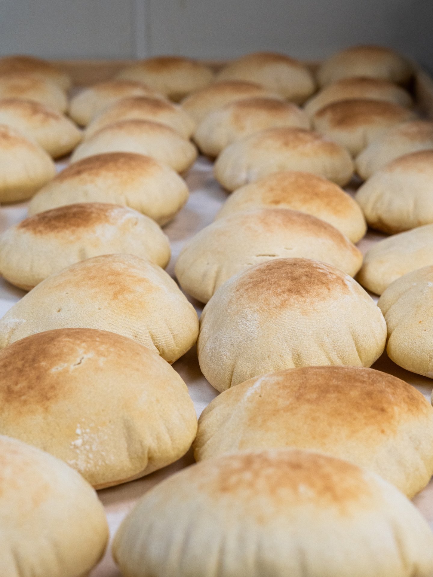 Baked fresh. Every. Single. Day.
No shortcuts. No frozen dough.

Just warm, fluffy pita made by hand &mdash; the way it should be. 🤍🥙
Because great shawarma deserves great bread.
#indianapolis #Shawarma #CamDesigns