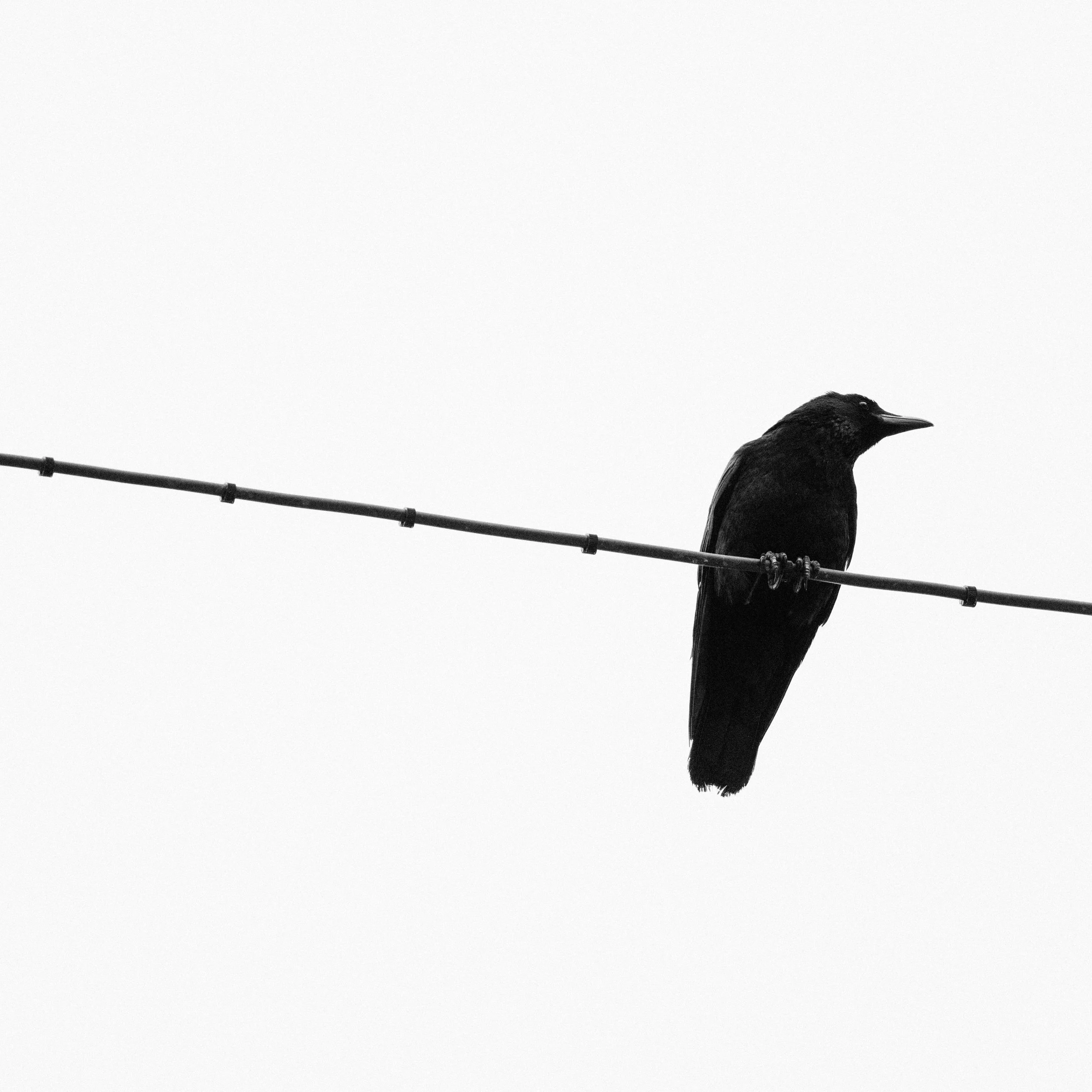 DSCF2116.jpg