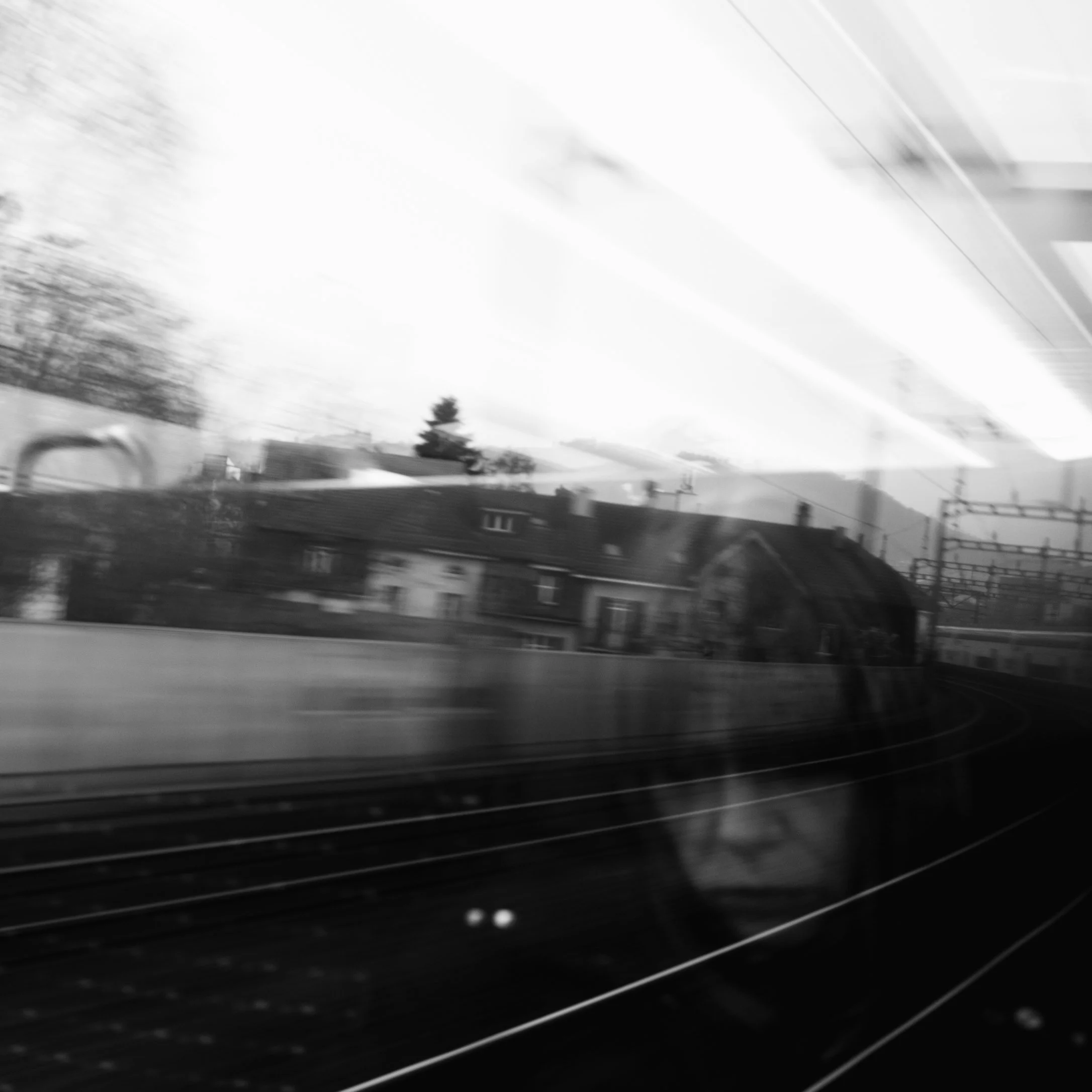DSCF1663.jpg