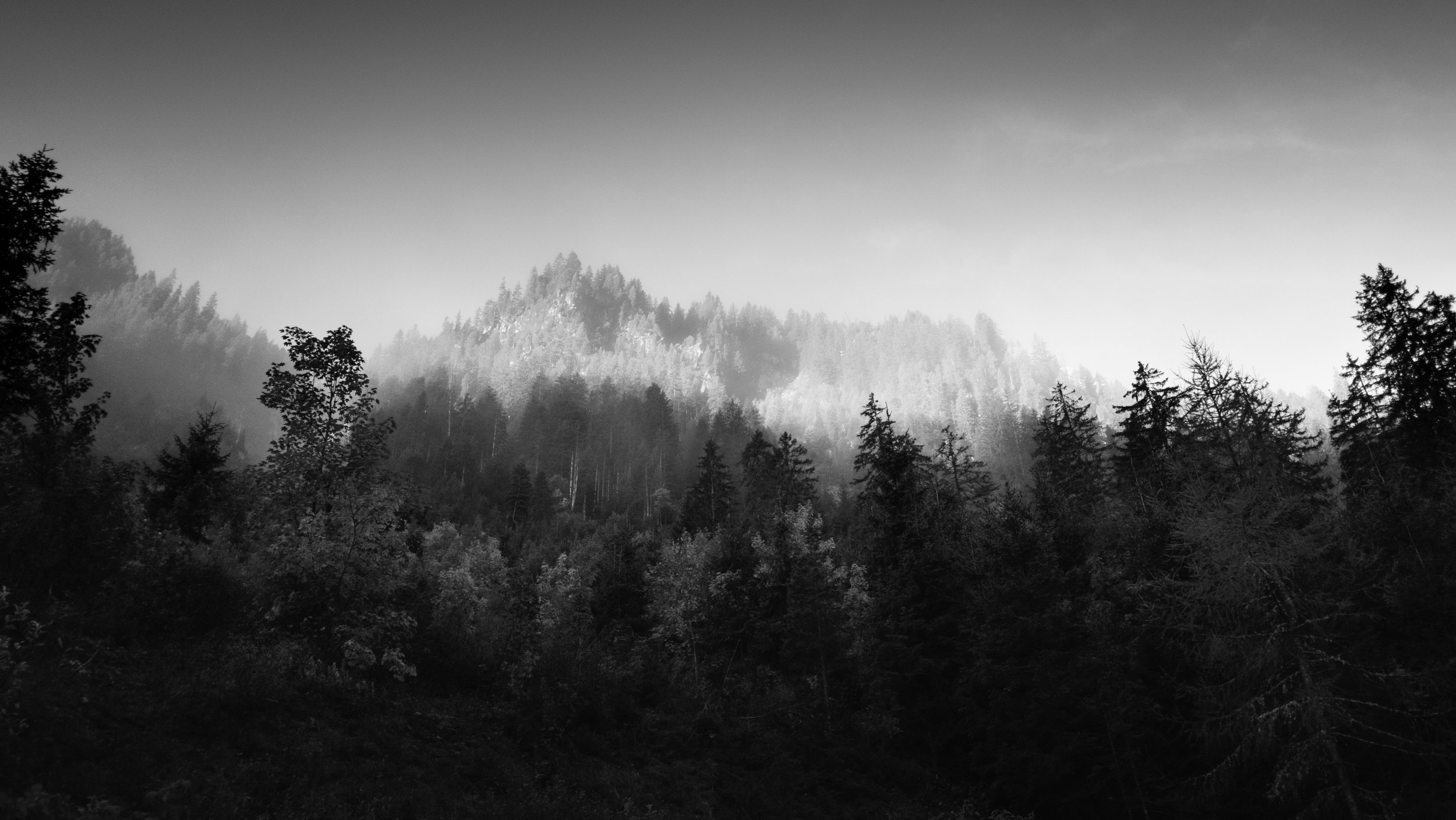 DSCF7847.jpg