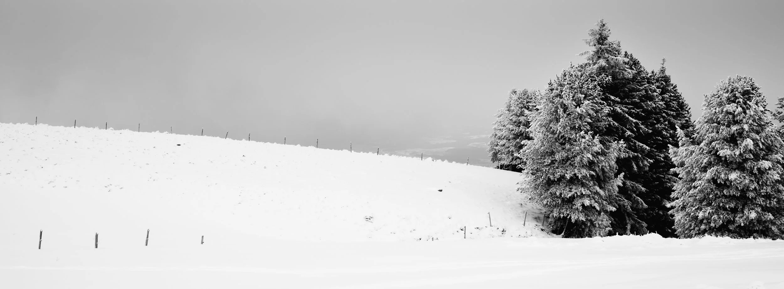 DSCF0413.jpg