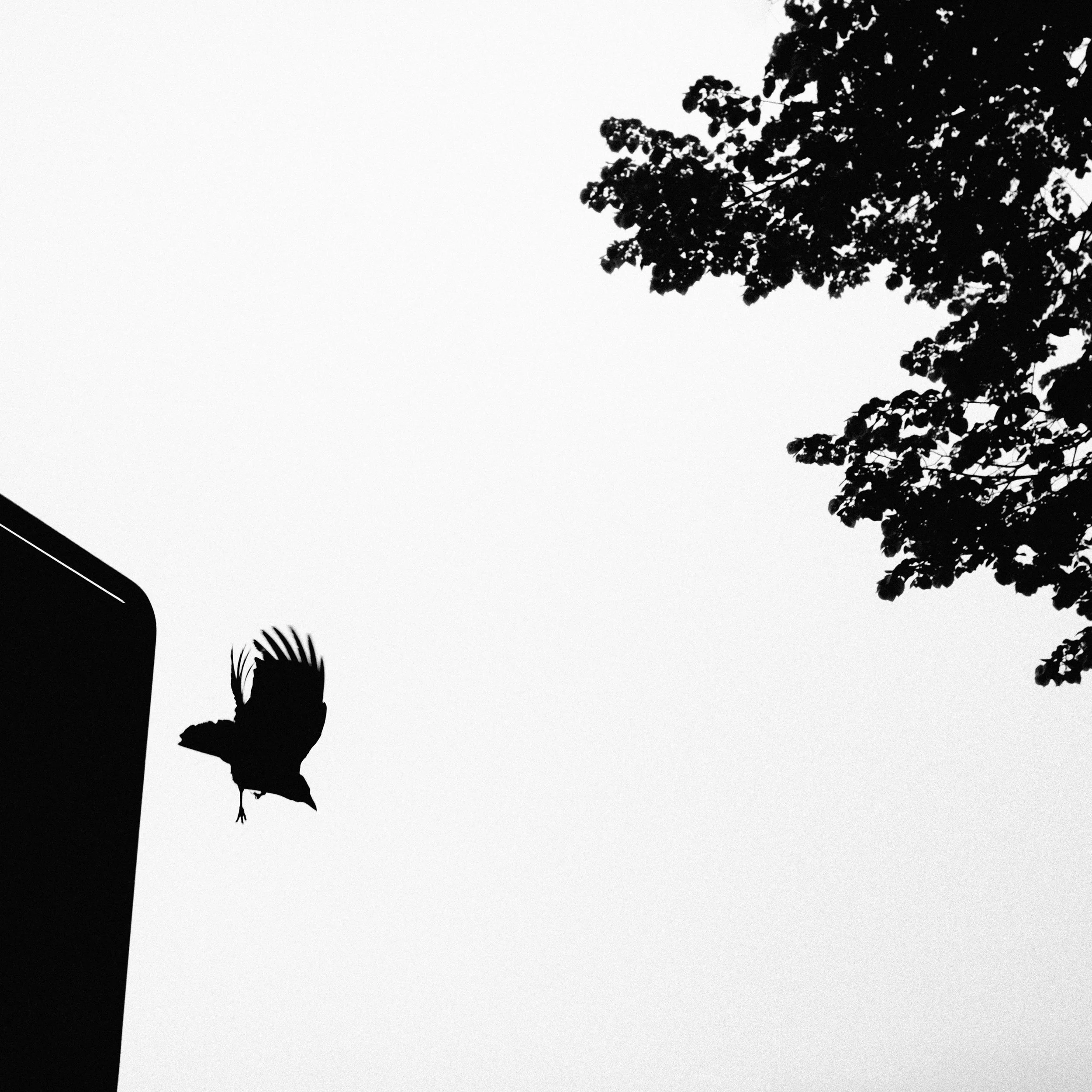 DSCF5177-Edit.jpg