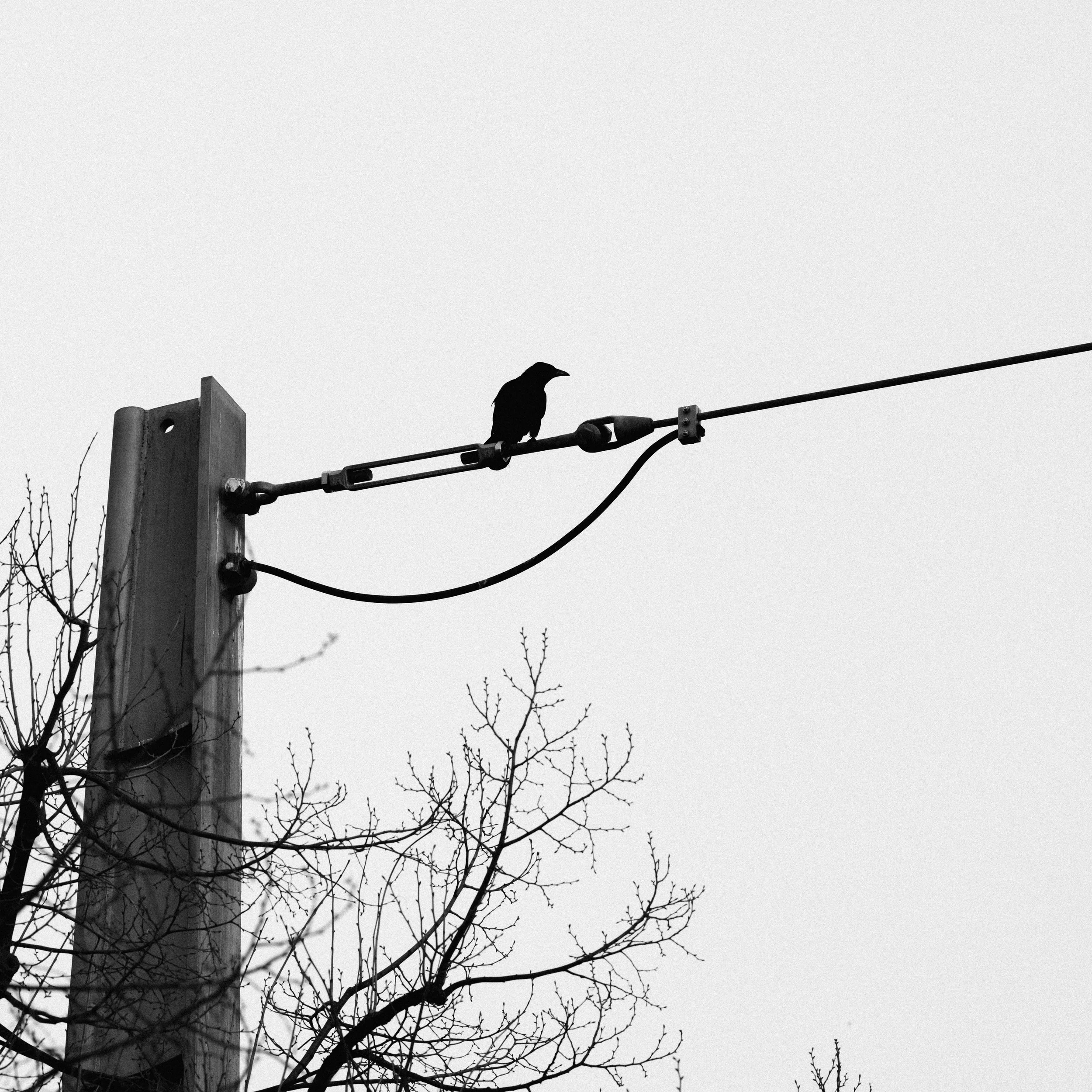 DSCF0810.jpg