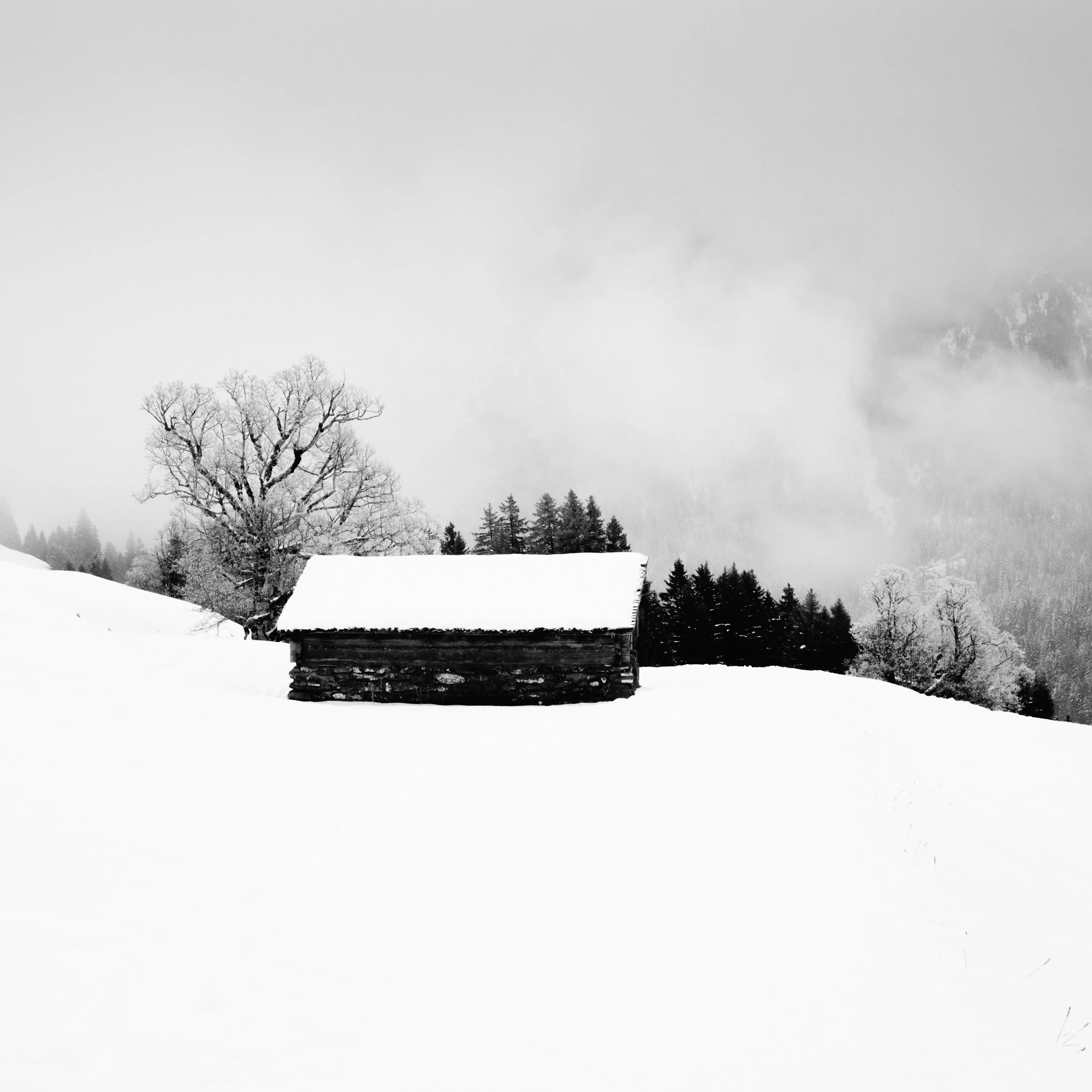 DSCF3640-Enhanced-Edit.jpg