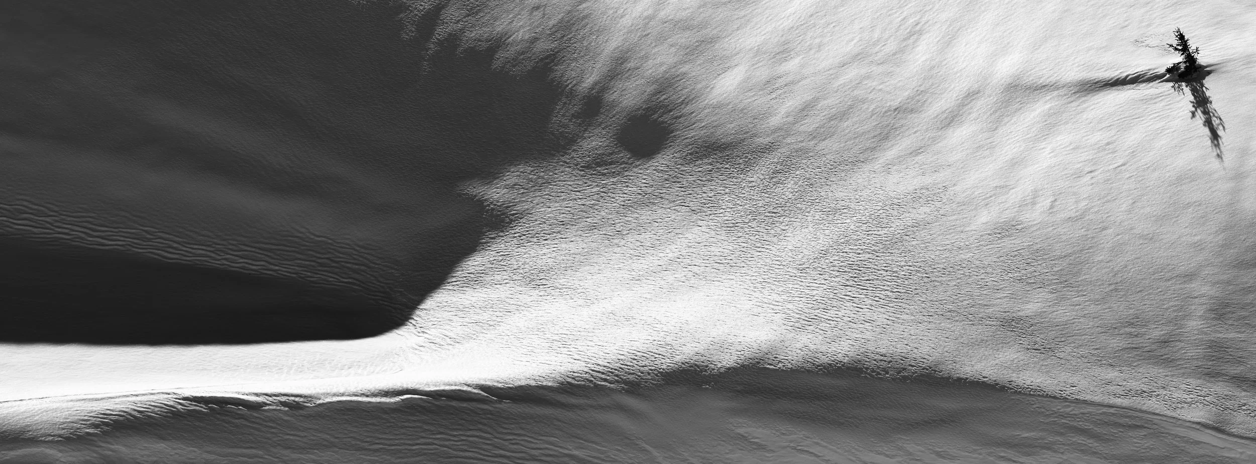 DSCF0605.jpg