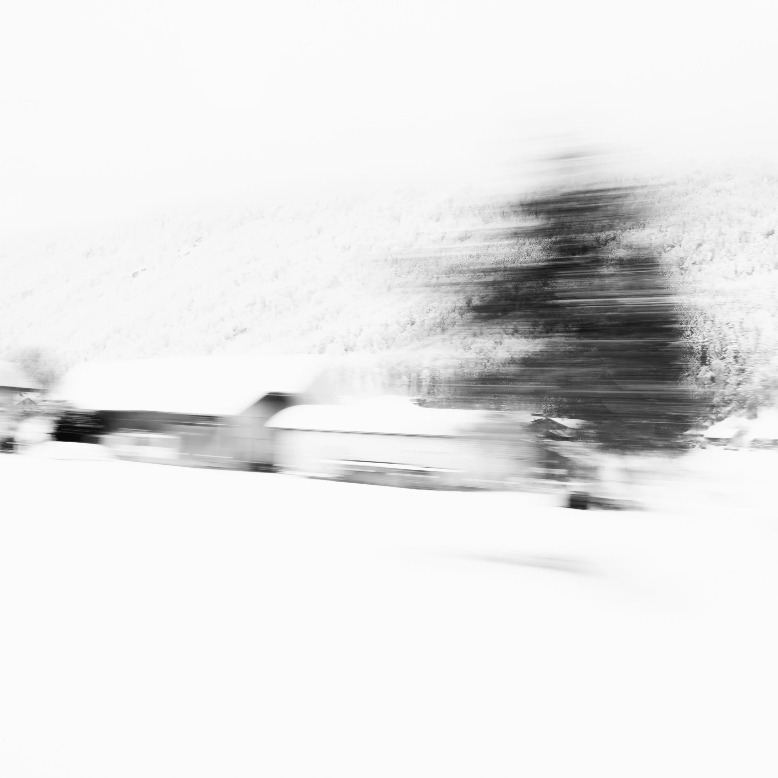 DSCF1075.jpg