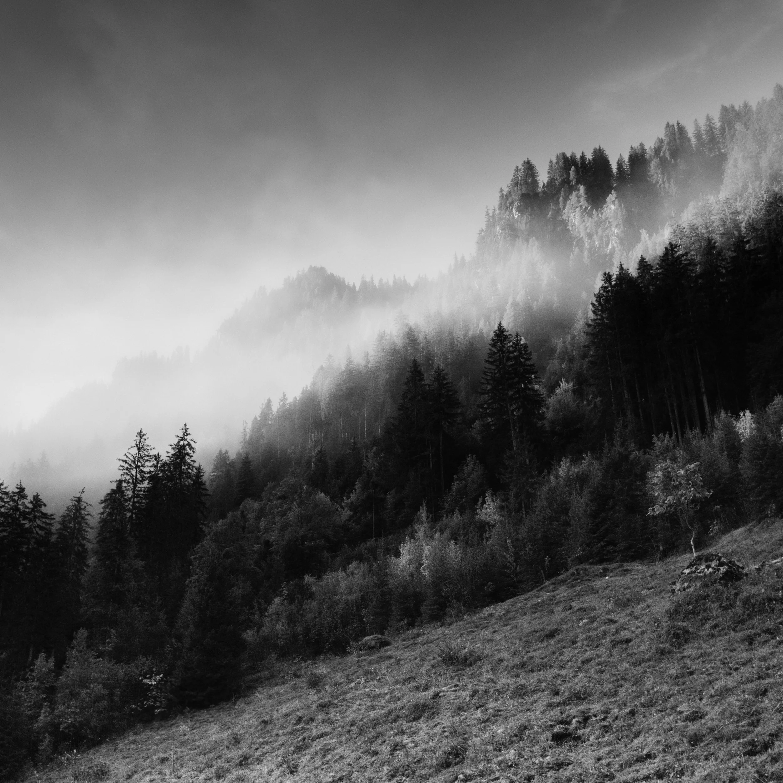 DSCF7851.jpg