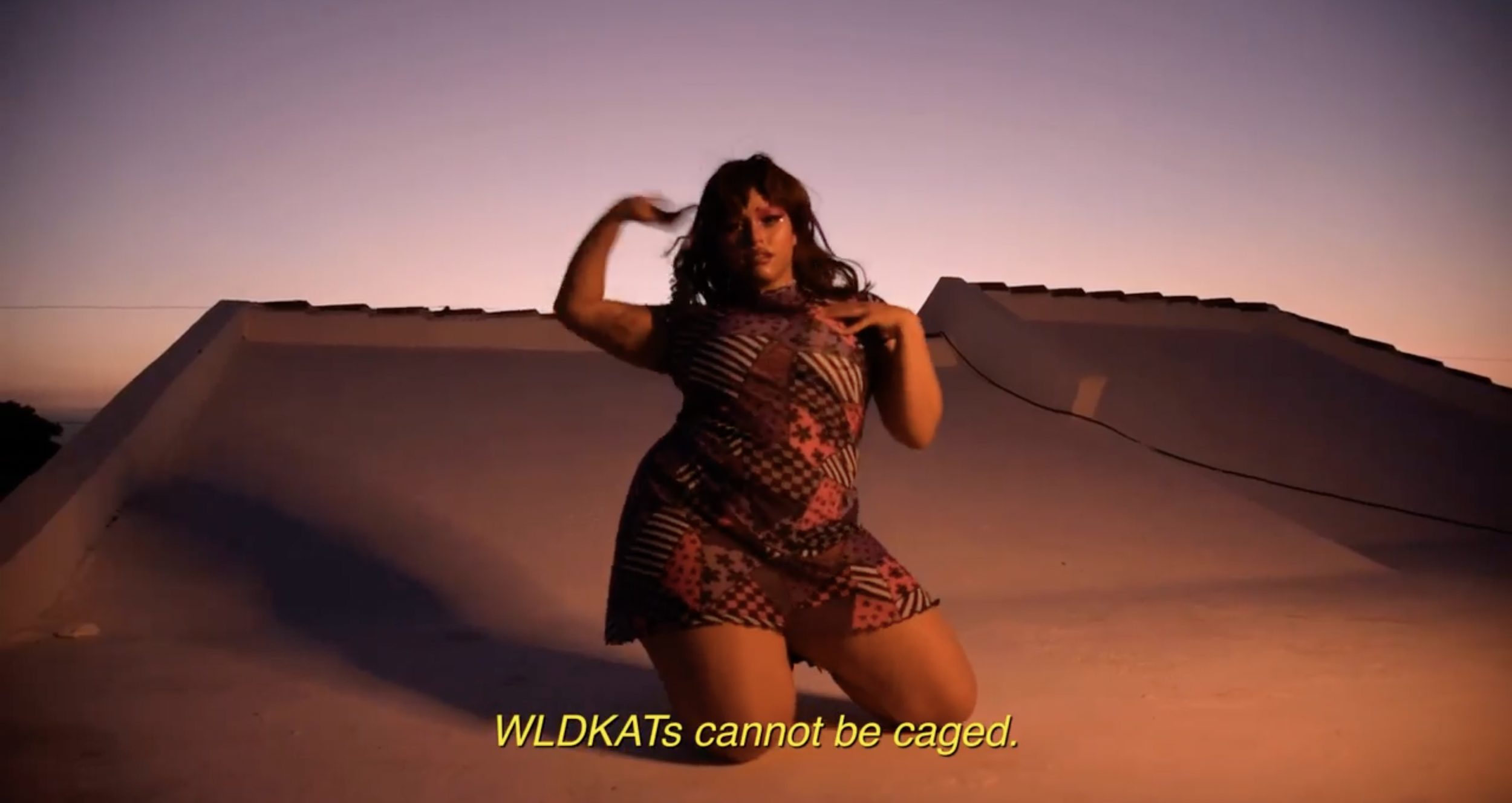 Wldkat (Brand Campaign)