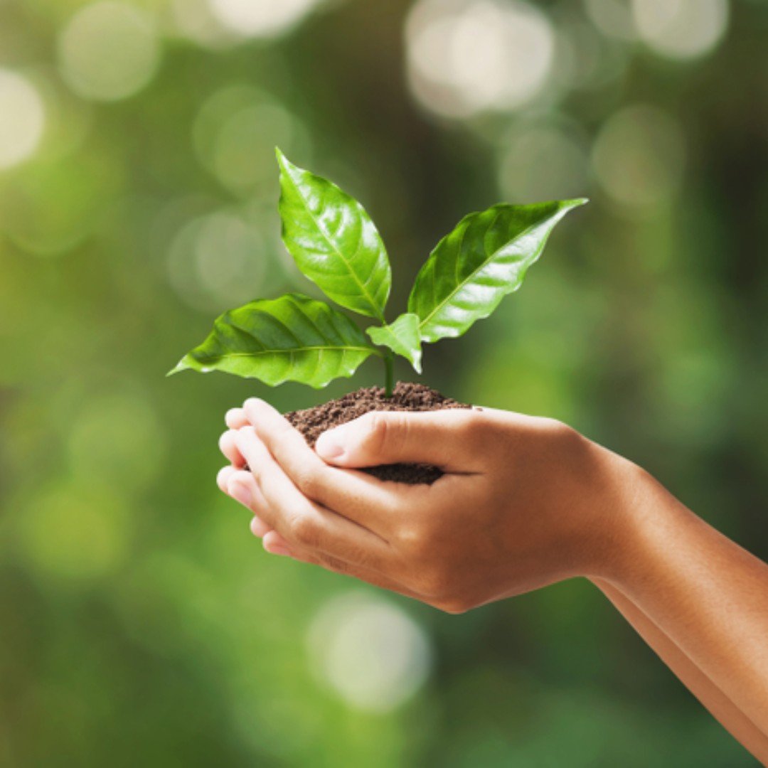 Let's celebrate World Environment Day!

Did you know World Environment Day is celebrated every year on June 5th? It is a day to raise awareness and take action on environmental issues. 

Some ways to celebrate:
1. Support local business and buy local