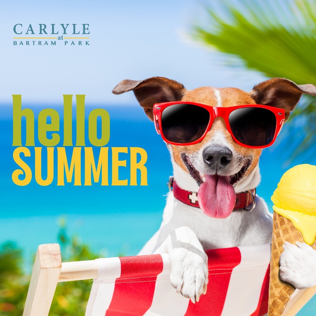 New season, new pet-friendly home. Hello, summer magic! ✨🌻

#summer #hellosummer #welcomesummer #petfriendly #residents #carlyleatbartrampark #carlyleatbartramparkapts #bartrampark #jacksonville #jaxfl