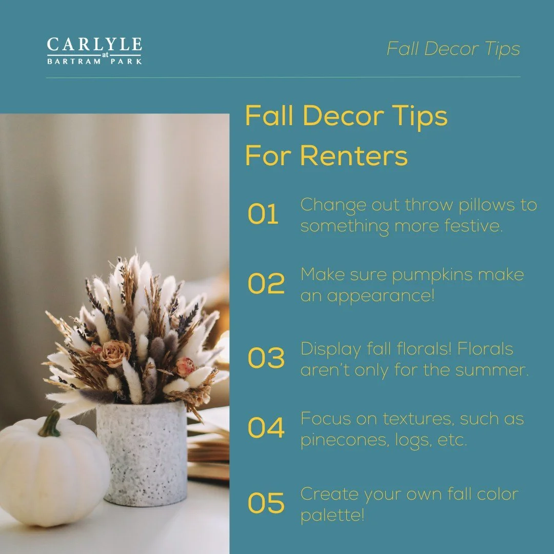 Warning: May cause extreme coziness 🍂🔥 Apartment-friendly fall decor tips!

#falldecor #fallvibes #autumnvibes #apartmentfriendlydecor #apartmentgoals #carlyleatbartrampark #carlyleatbartramparkapts #bartrampark #jacksonville #jaxfl