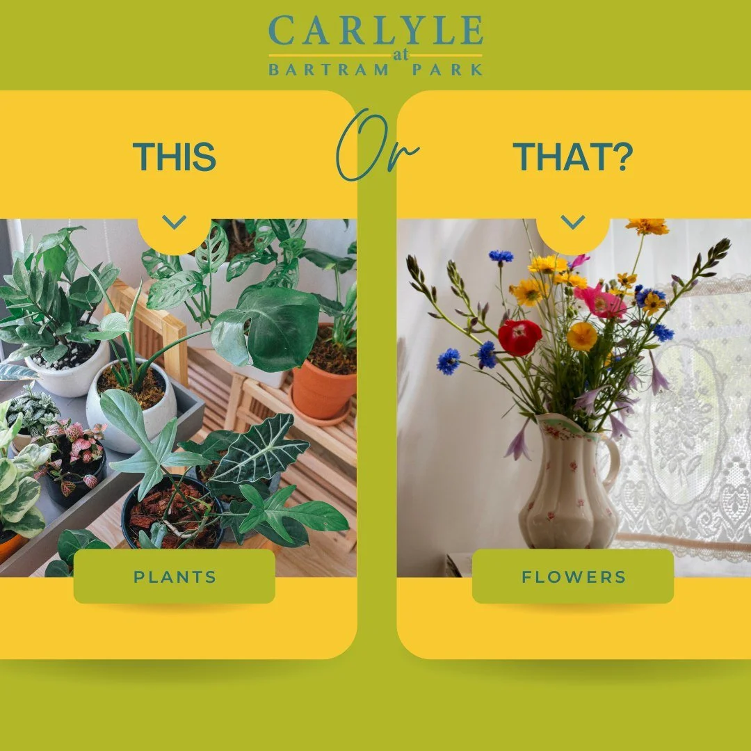 This or That: Carlyle at Bartram Park Edition! 🪴🌻

Do you prefer plants or flowers? Leave a comment below and let us know which you would fill your space with! 🥰

#flowers #plants #thisorthat #carlyleatbartrampark #carlyleatbartramparkapts #bartra