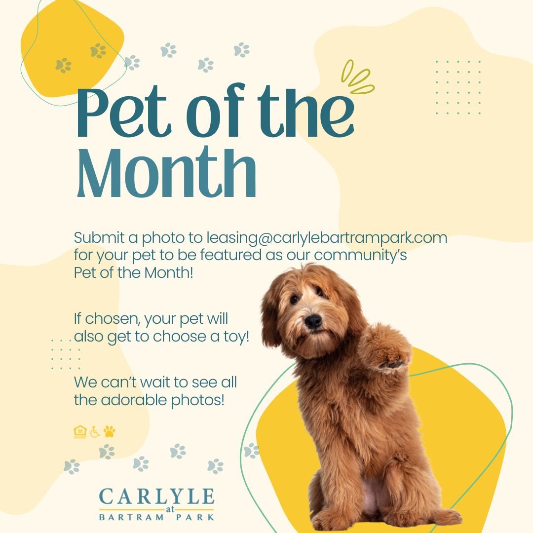 Calling all Carlyle at Bartram Park's pet paw-rents! 🐶 🐱🐩😸

Send your pet photo to leasing@carlylebartampark.com for a chance to have them featured as Carlyle at Bartram Park's Pet of the Month. If chosen, your pet will also get to choose a toy! 