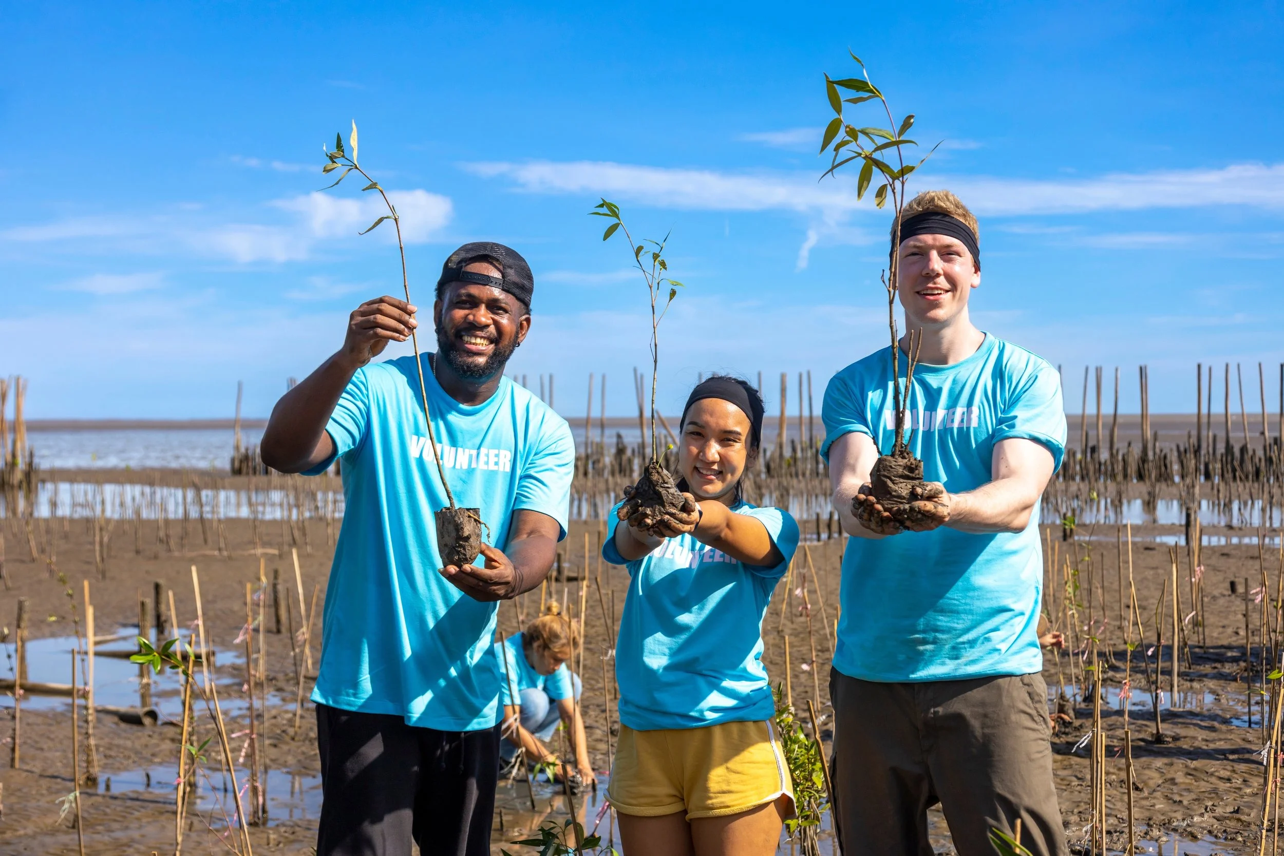 ESG sustainability efforts employees planting trees