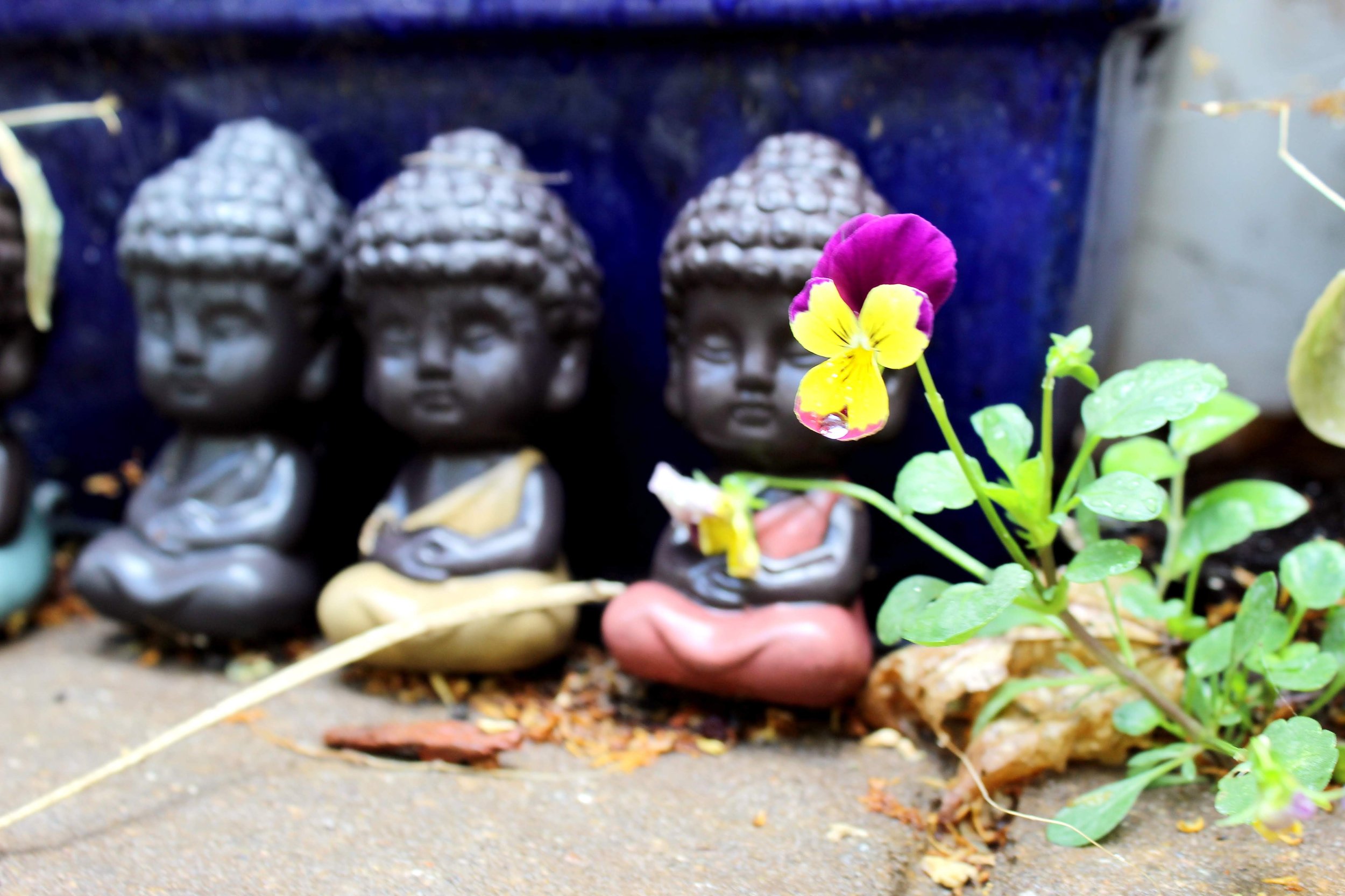 Mindfulness