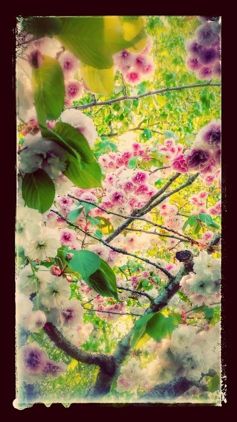 Feeling Erased: Reclaiming Presence After Trauma