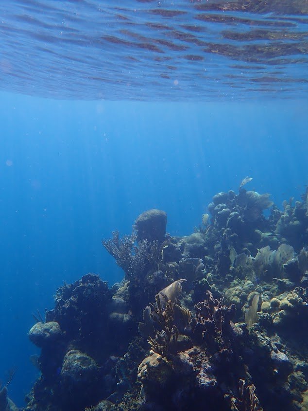 The Body in Space: Understanding Proprioceptive Differences in Neurodivergent Experience