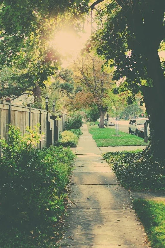 Not All in Your Head: Somatic Approaches to Anxiety