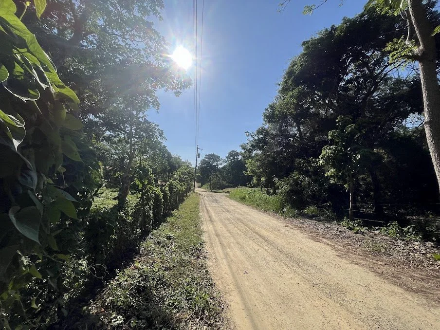 Sensory Joy as a Pathway Through Trauma