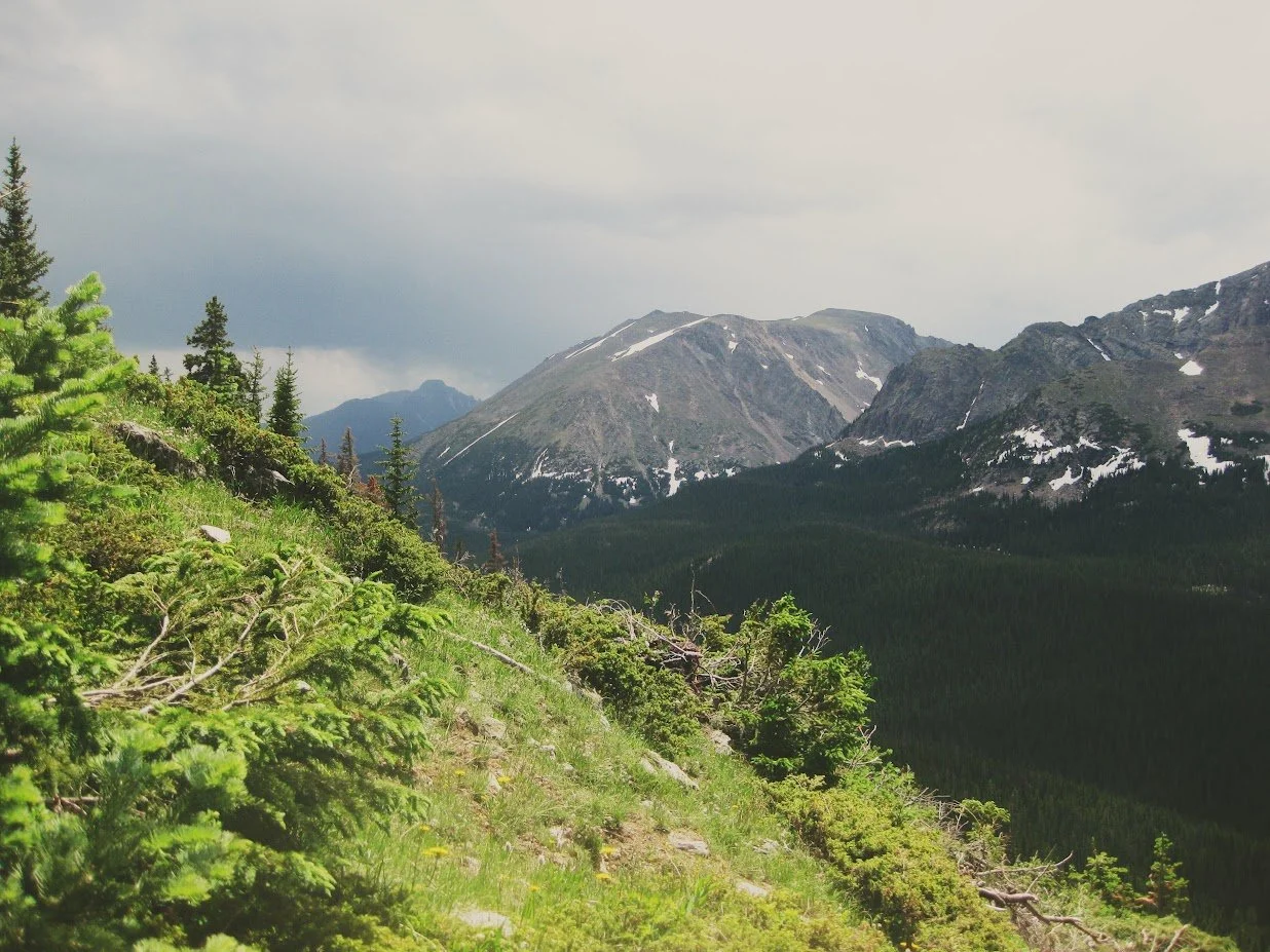 Beyond the Label: Exploring the Broader Autism Phenotype in Ourselves and Our Families