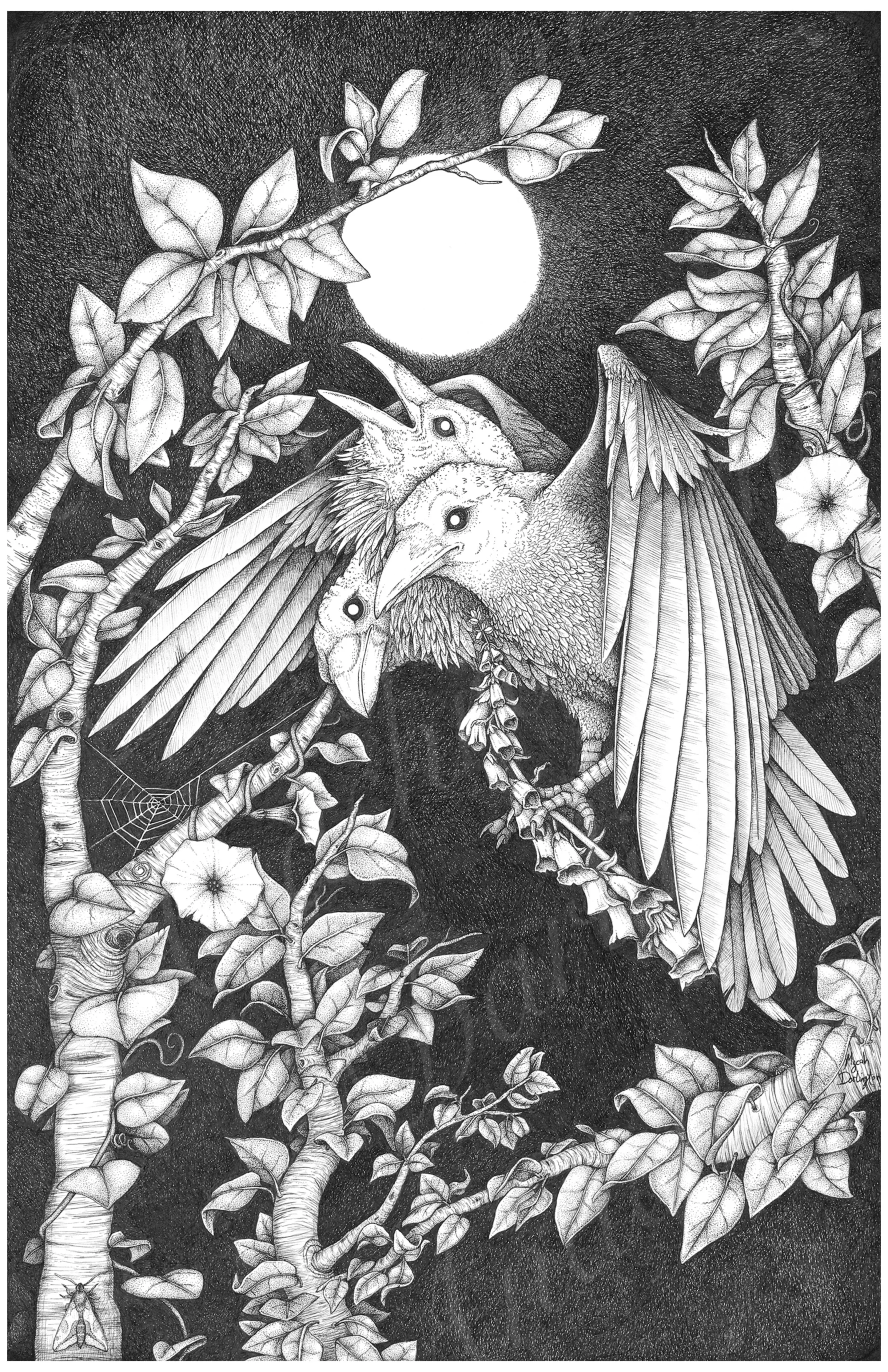 Iamtheravensmoonstrees watermark.jpg